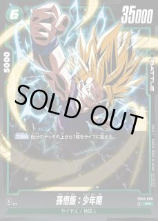 鑑定済 - シンソク