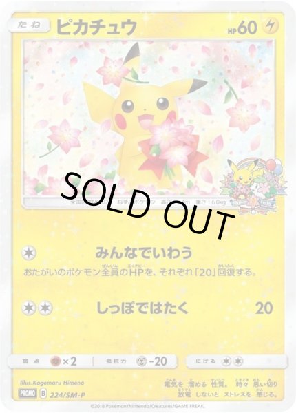 画像1: 【状態A-】ピカチュウ《P》{224/SM-P}[その他] (1)