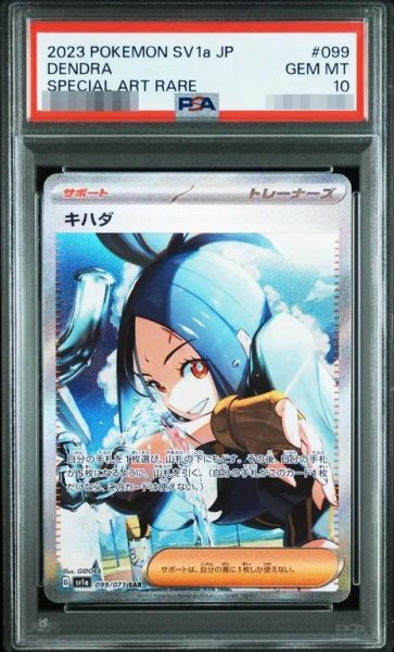 画像1: 【状態A-/PSA10鑑定済】キハダ《SAR》{099/073}[その他] (1)