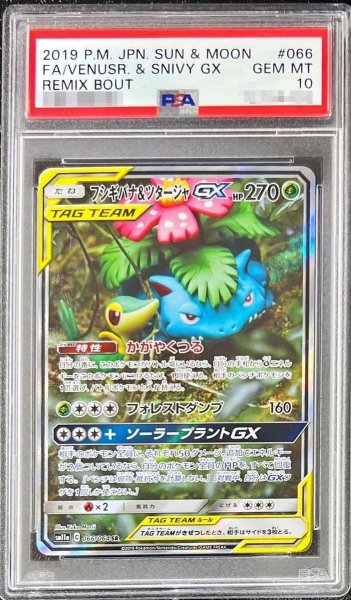 画像1: 【PSA10鑑定済】フシギバナ＆ツタージャGX(SA)《SR》{066/064}[その他] (1)