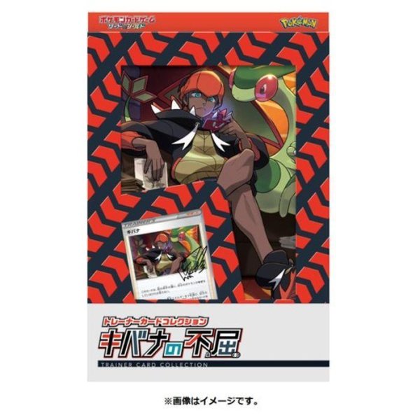 画像1: トレーナーカードコレクション『キバナの不屈』《未開封BOX》 (1)