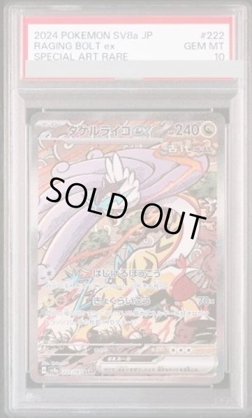 画像1: 【PSA10鑑定済】タケルライコex《SAR》{222/187}[-] (1)