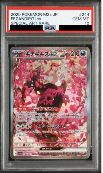 画像1: 【PSA10鑑定済】キチキギスex《SAR》{244/193}[-] (1)