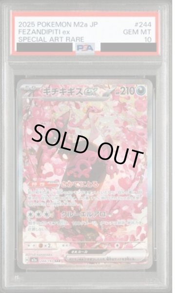 画像1: 【PSA10鑑定済】キチキギスex《SAR》{244/193}[-] (1)