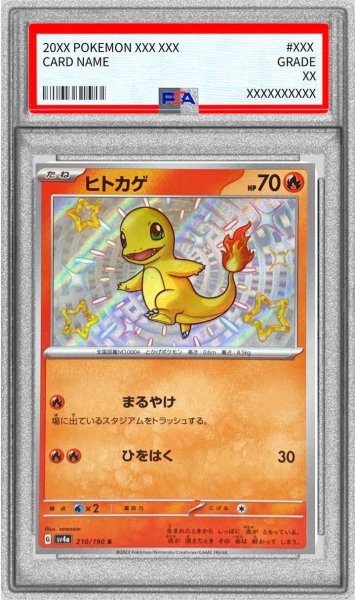 画像1: 【状態A-/PSA10鑑定済】ヒトカゲ《S》{210/190}[-] (1)