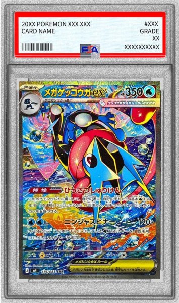 画像1: 【PSA10鑑定済】メガゲッコウガex《SAR》{114/083}[-] (1)
