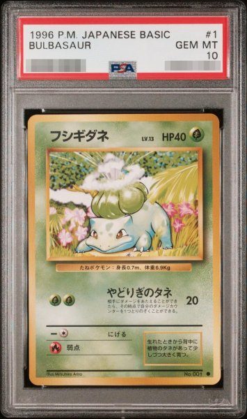 画像1: 【状態A-/PSA10鑑定済】フシギダネ　LV.13《-》{-}[-] (1)