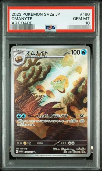 画像1: 【状態A-/PSA10鑑定済】オムナイト《-》{180/165}[-] (1)