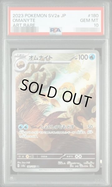 画像1: 【状態A-/PSA10鑑定済】オムナイト《-》{180/165}[-] (1)