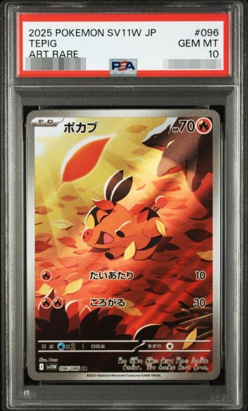 画像1: 【PSA10鑑定済】ポカブAR《-》{145048749}[-] (1)