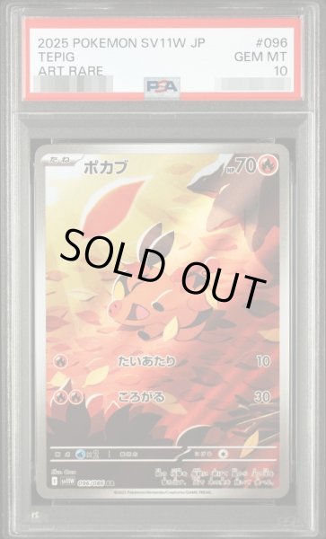 画像1: 【PSA10鑑定済】ポカブAR《-》{096/086}[-] (1)
