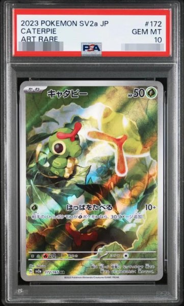 画像1: 【PSA10鑑定済】キャタピー《-》{172/165}[-] (1)