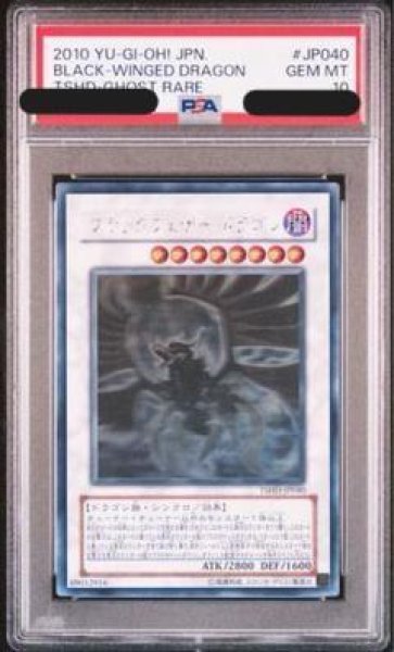 画像1: 【PSA10鑑定済】ブラックフェザードラゴン《ホログラフィック》{TSHD-JP040} (1)