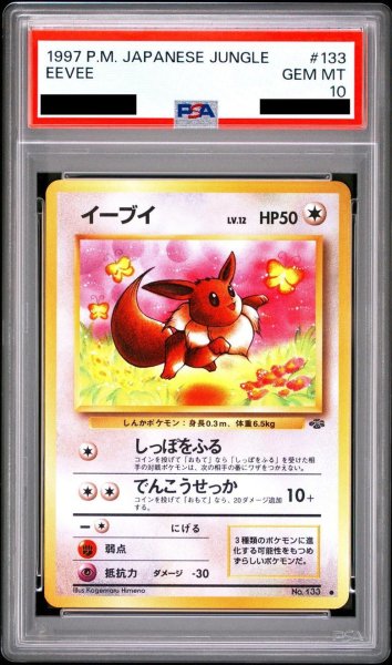画像1: 【状態A-/PSA10鑑定済】イーブイ Lv.12《-》{旧裏}[-] (1)