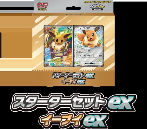 画像1: スターターセットex イーブイex《未開封BOX》 (1)