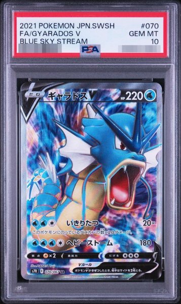 画像1: 【PSA10鑑定済】ギャラドスV《-SR》{070/067}[-] (1)