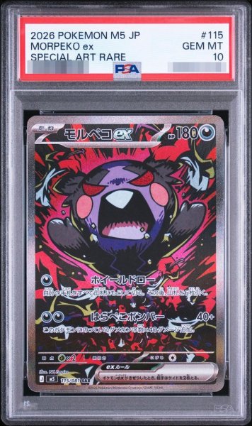 画像1: 【PSA10鑑定済】モルペコex《SAR》{115/081}[-] (1)