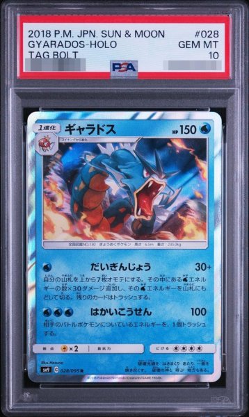 画像1: 【状態A-/PSA10鑑定済】ギャラドス《-》{028/095}[-] (1)
