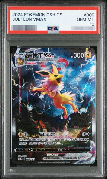 画像1: 【PSA10鑑定済】サンダーズVMAX　中国版《-》{009/009}[-] (1)