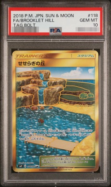 画像1: 【状態A-/PSA10鑑定済】せせらぎの丘《UR》{118/095}[-] (1)
