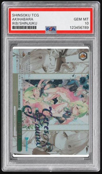 画像1: 【PSA10鑑定済】自然の番人《-》{HOL/W104-066SSP} (1)