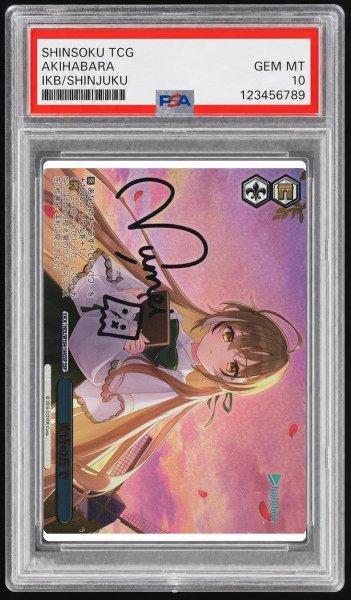 画像1: 【PSA10鑑定済】黄昏の丘で《-》{HOL/W104-144SSP} (1)